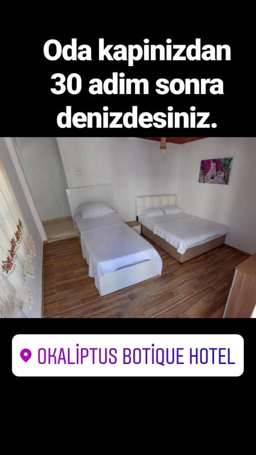 Okaliptus Butik Hotel 费特希耶 外观 照片