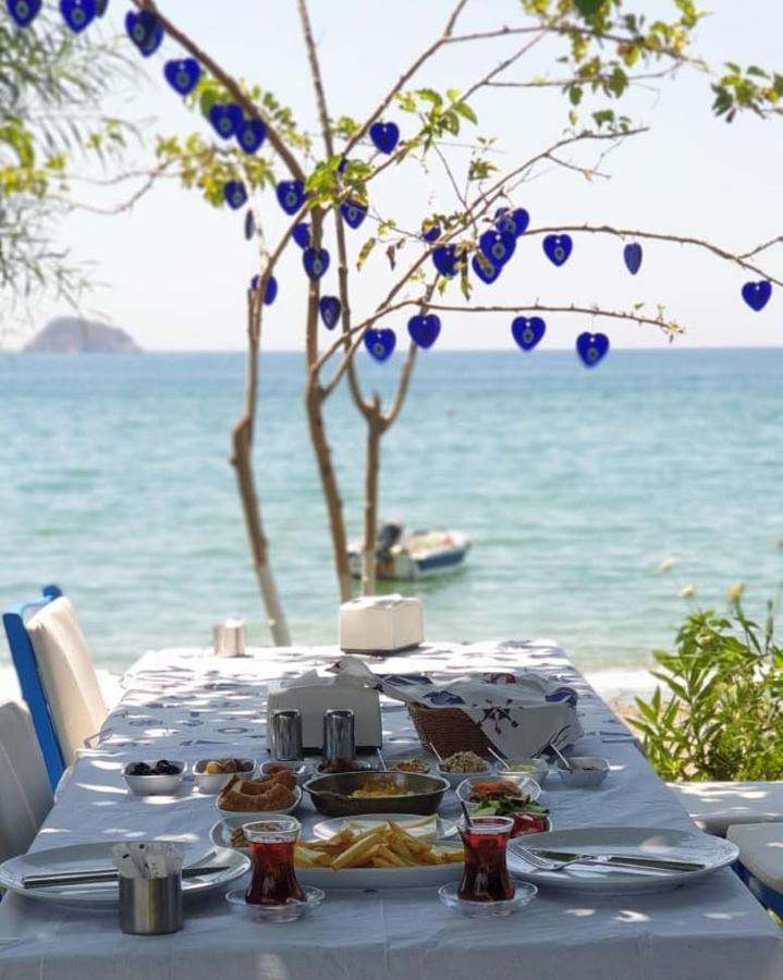 Okaliptus Butik Hotel 费特希耶 外观 照片